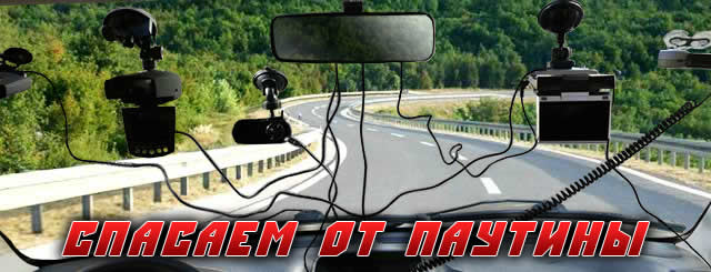 Спасаем от паутины